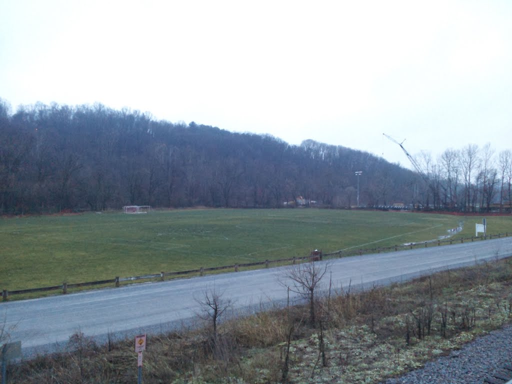 Vineyard park from tracks