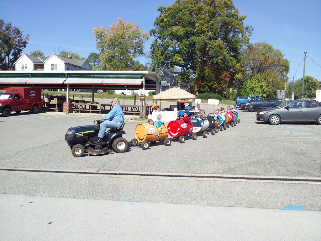 Lawn Mower Train