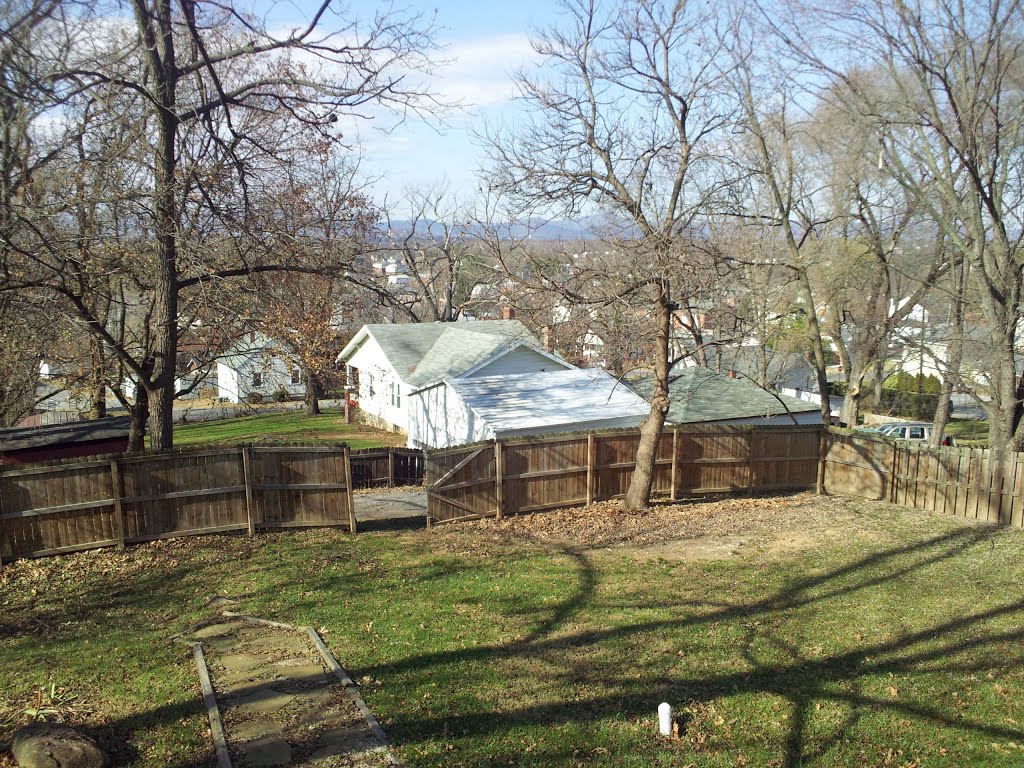 backyard from porch