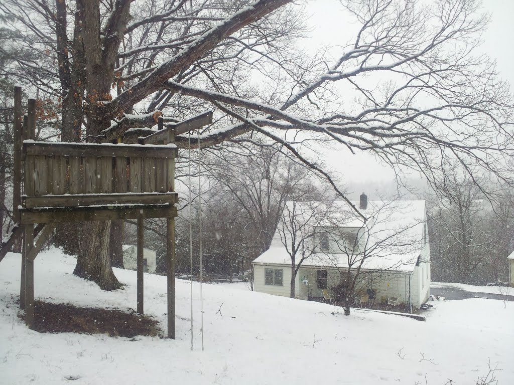 backyard under snow