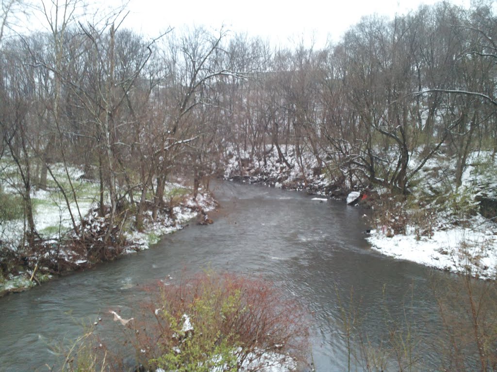 fork in the Roanoke River