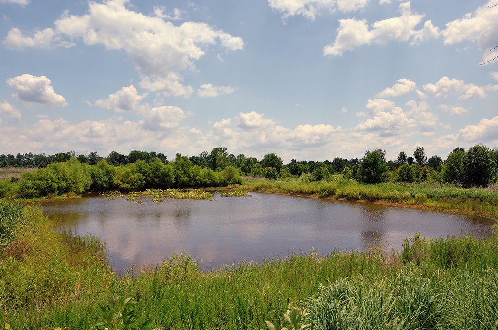 Occoquan Bay National Wildlife Refuge