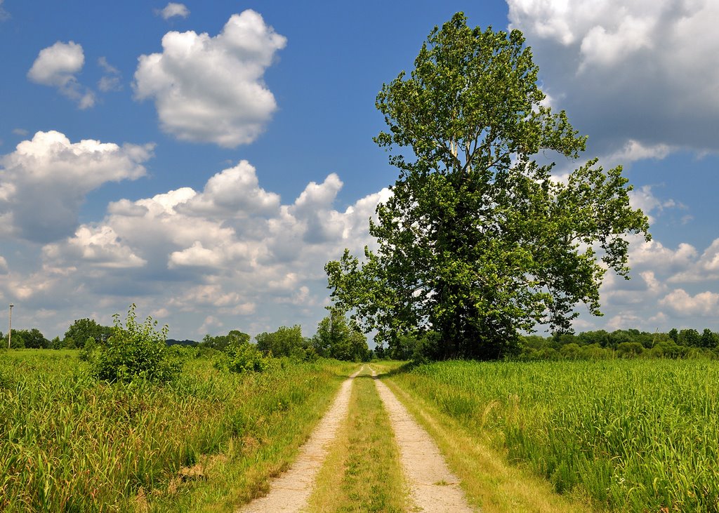 Occoquan Bay National Wildlife Refuge