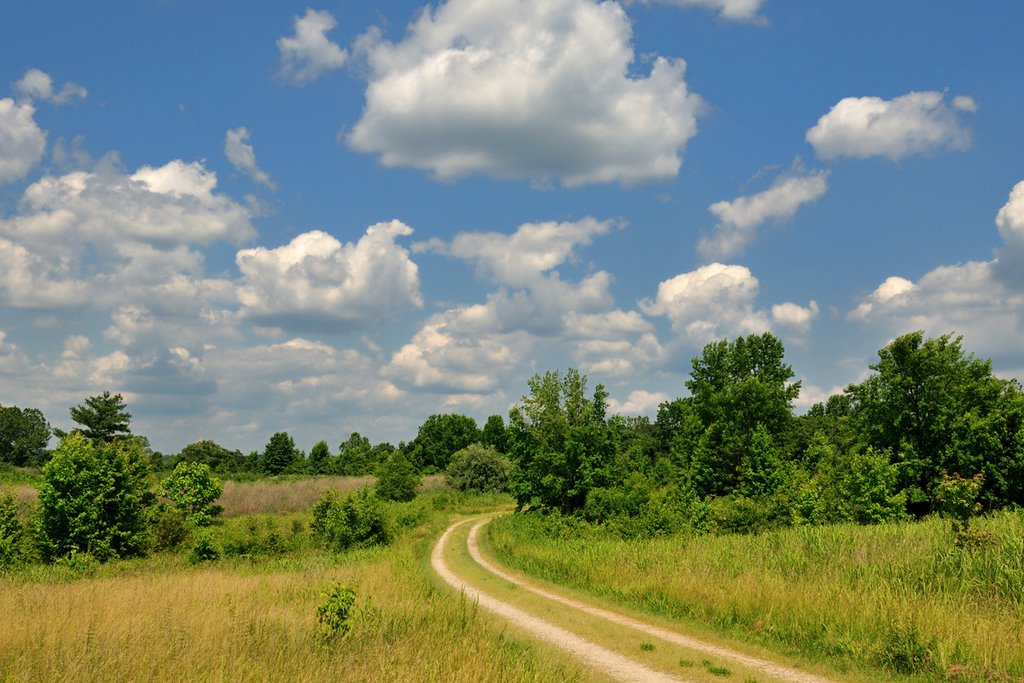 Occoquan Bay Wildlife Refuge