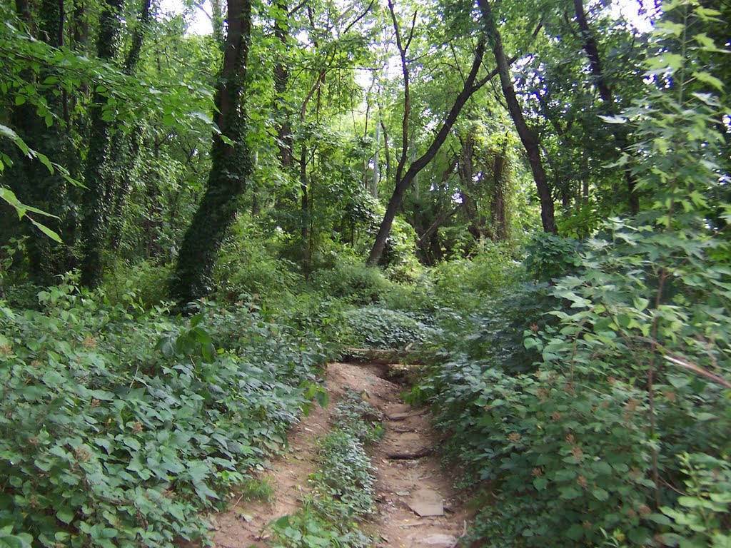 Potomac Heights