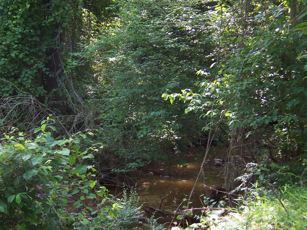 The Creek