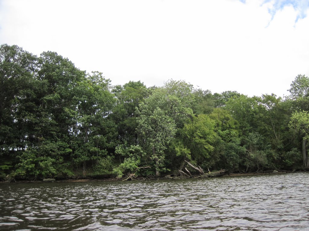 a tidal shore on the fairfax side of the occoquan