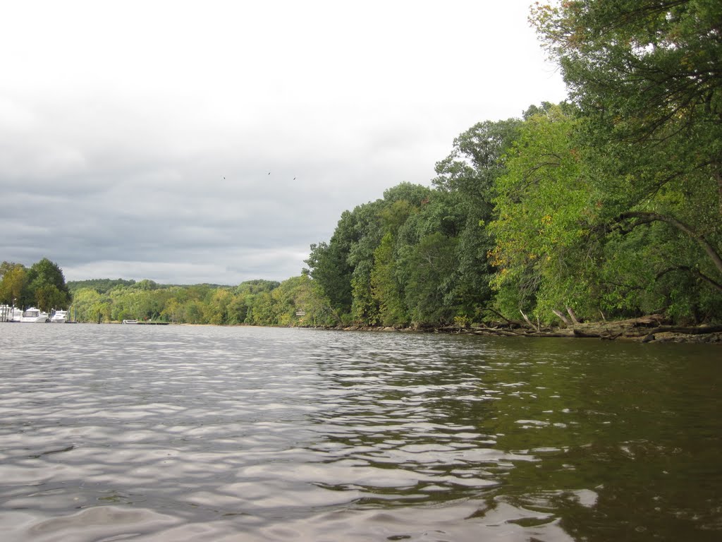 fall colors have arrived (fairfax side of occoquan )
