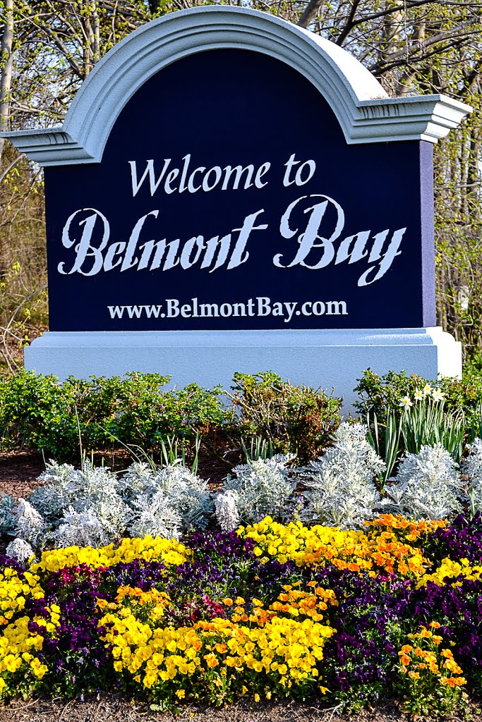 Belmont Bay