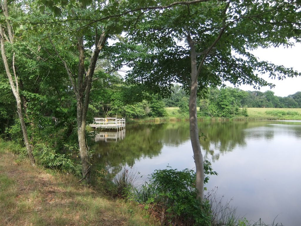 Pier at Painted Turtle Pond