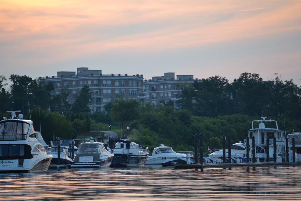 Belmont Bay by water