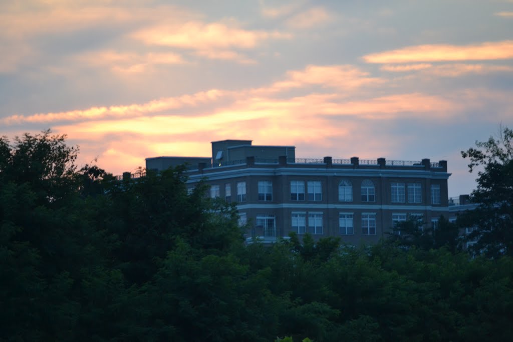 Condos at Belmont Bay