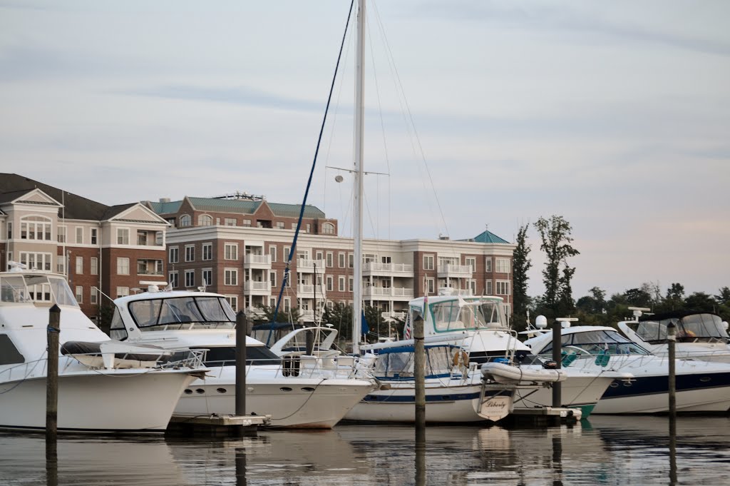 Boats at Belmont Bay Harbor Marina