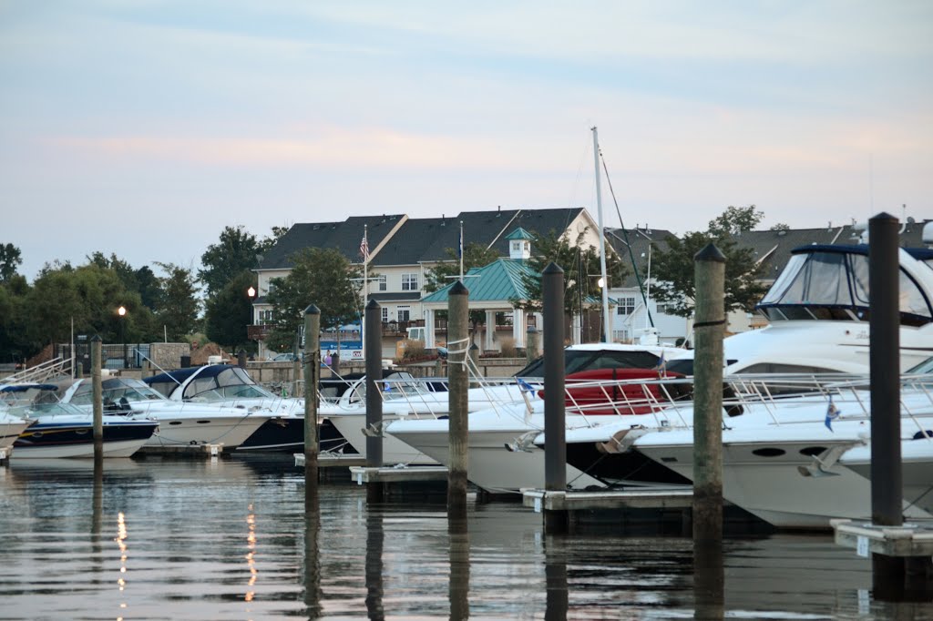 Boats on the bay