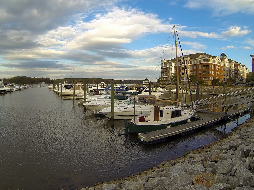 Belmont Bay Marina