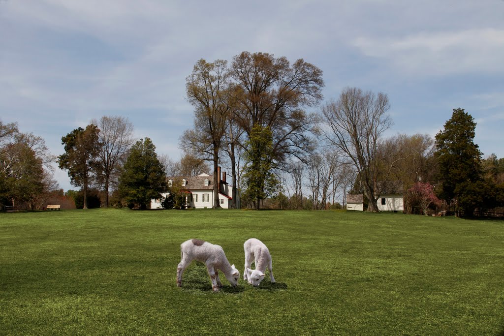 Meadow Farm
