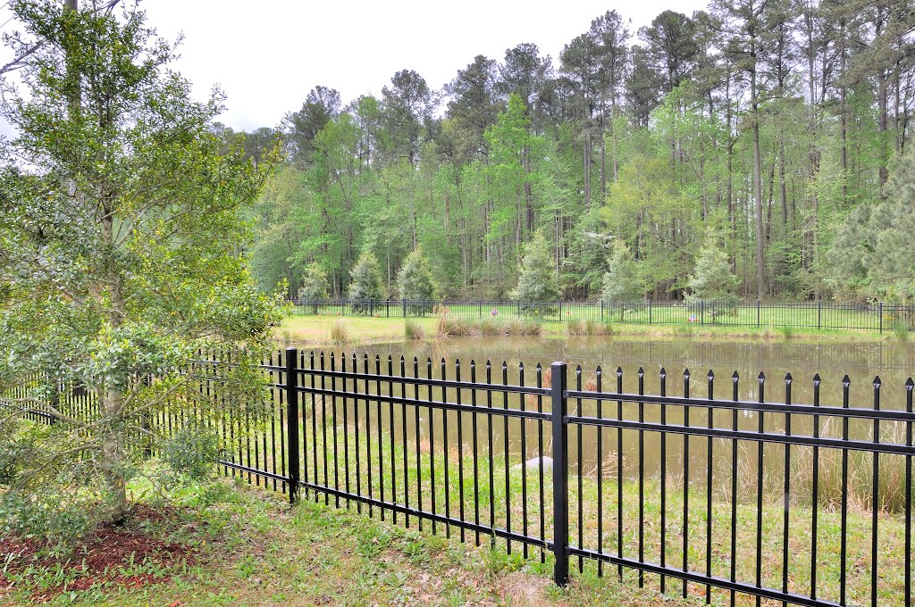 VIRGINIA: YORKTOWN: Shiloh Baptist Church, 105 Goosley Road (S.R. 238) gated frog pond
