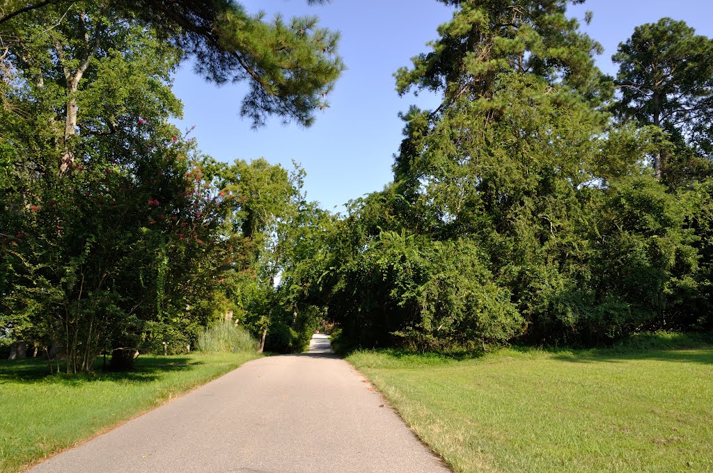 VIRGINIA: YORKTOWN: COLONIAL NATIONAL HISTORICAL PARK: the view east down the Moore House Road