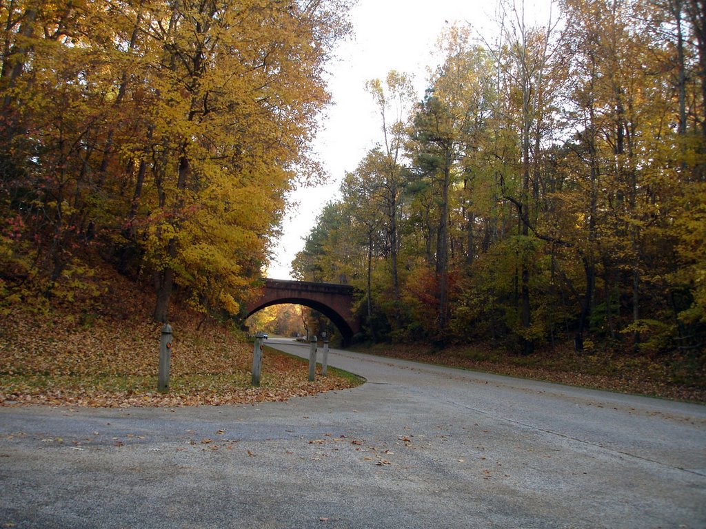 Yorktown, Va Fall color on Senic Highway