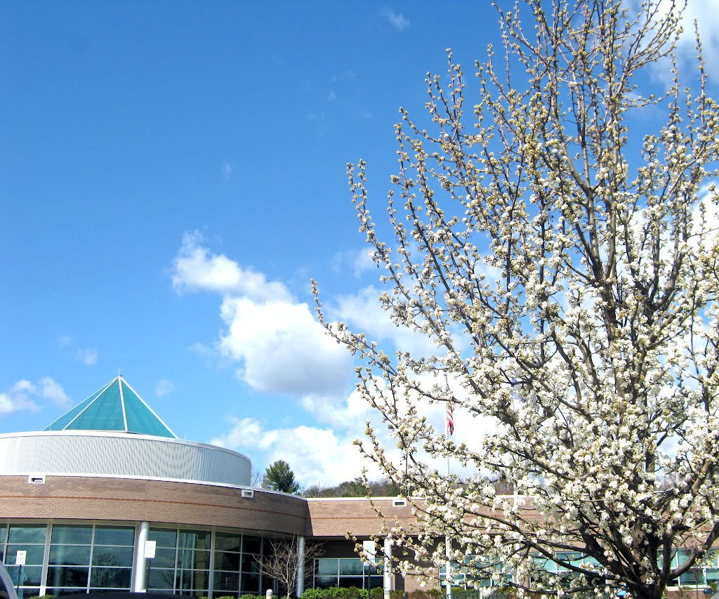 Hidden Valley High School