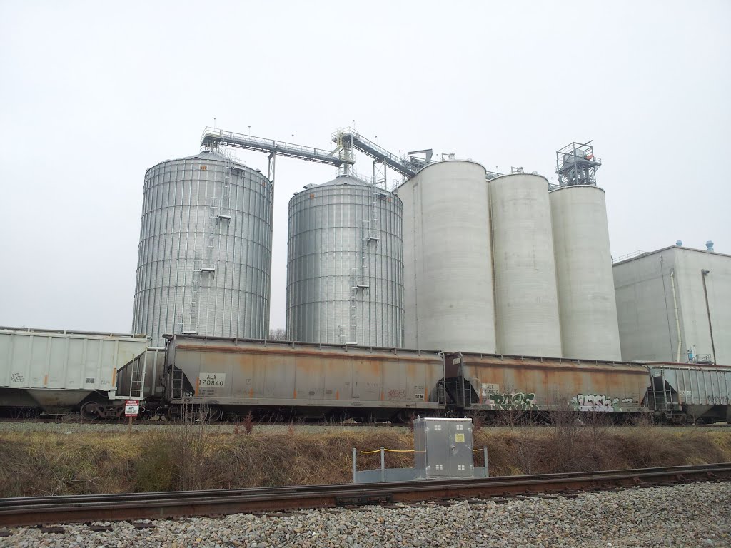 Cedar Bluff