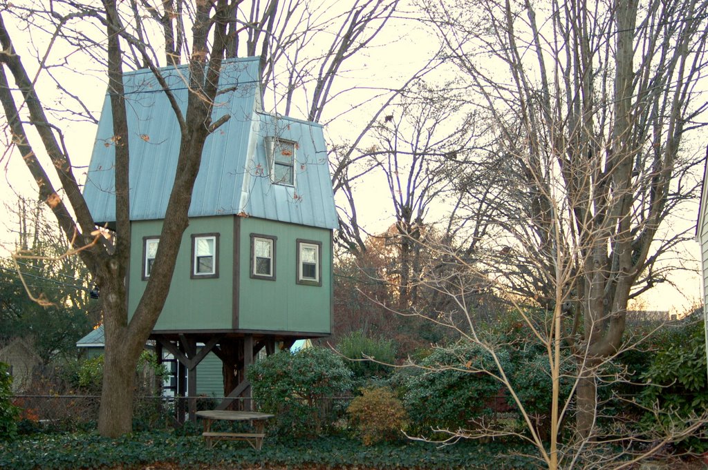 Backyard stilt house