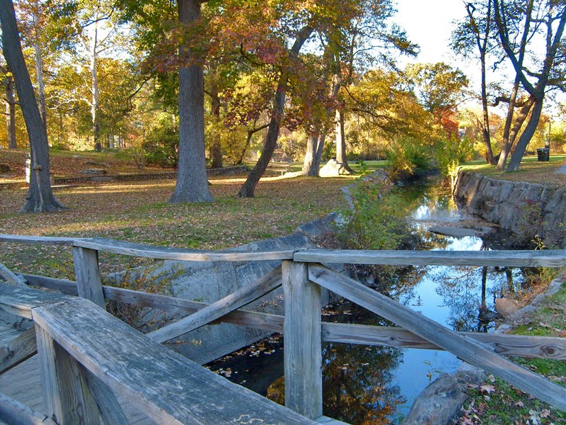 Crossing the Bridge, Bryan Park - Richmond, VA