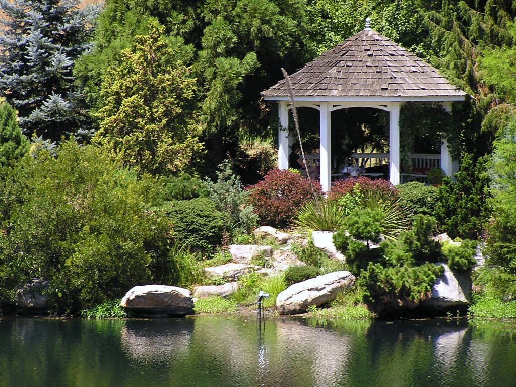 the conifer garden
