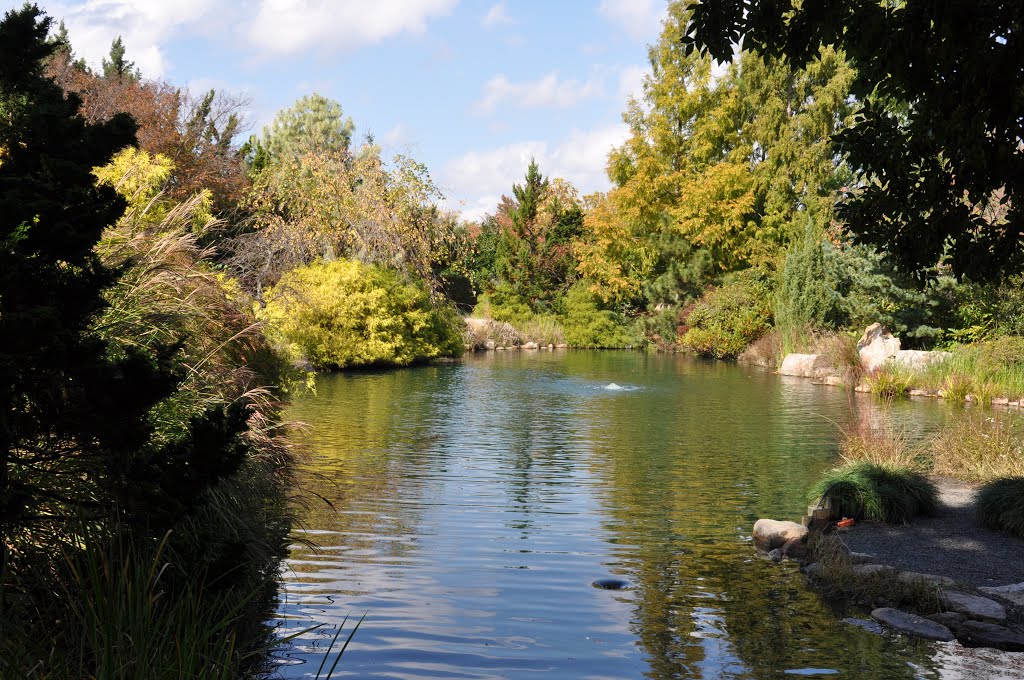 The Pond in the West Island Garden - Lewis Ginter Botanical Gardens - H&M