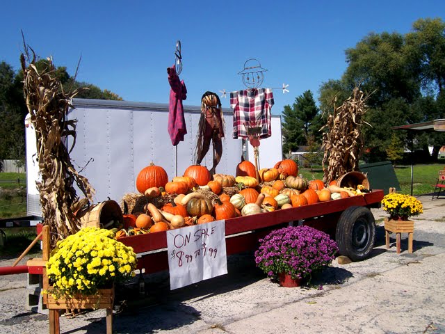 Fall Harvest Wagon, Luray, VA; Oct. 2011