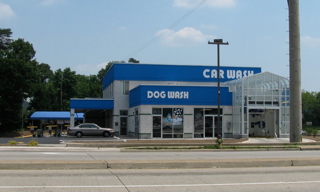 Two In One! Dogs Nightmare?