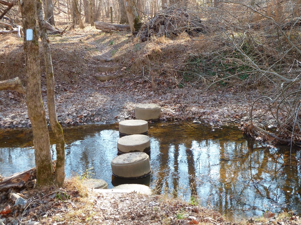 Bull Run-Occoquan Trail at Johnny Moore Creek