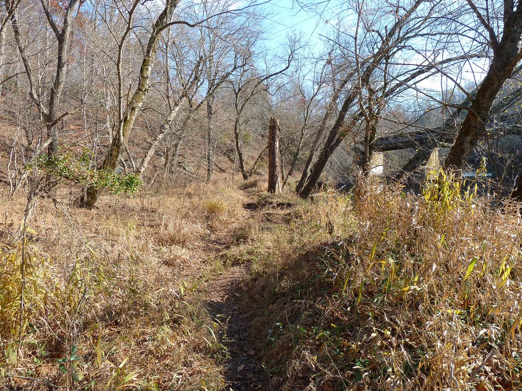 Bull Run-Occoquan Trail below Johnny Moore Creek
