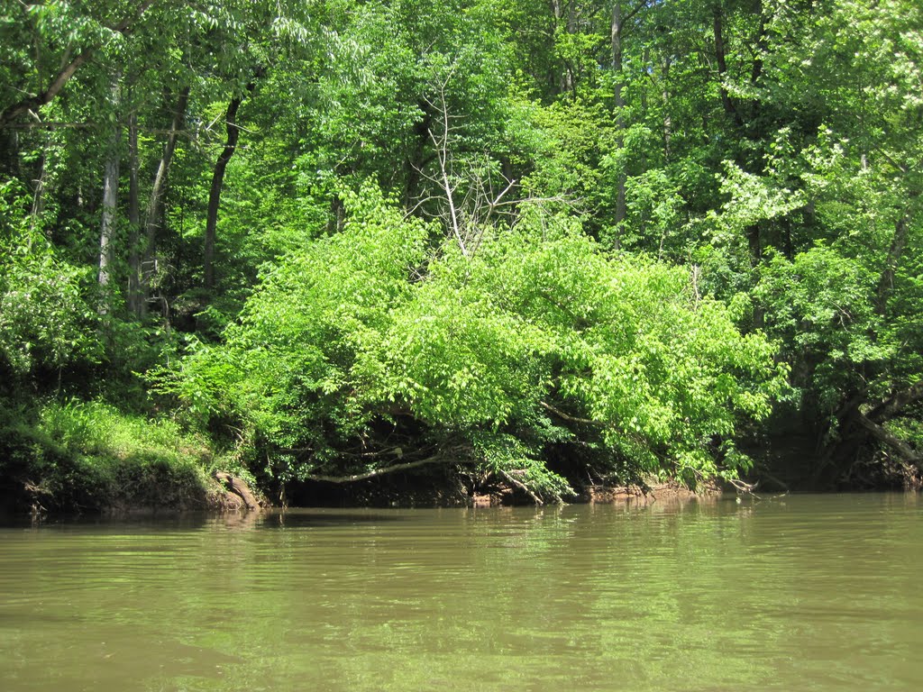 Centreville