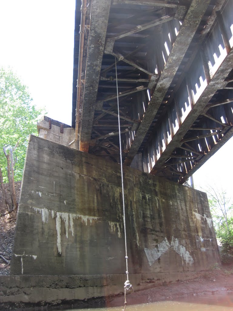 a swing from the bridge