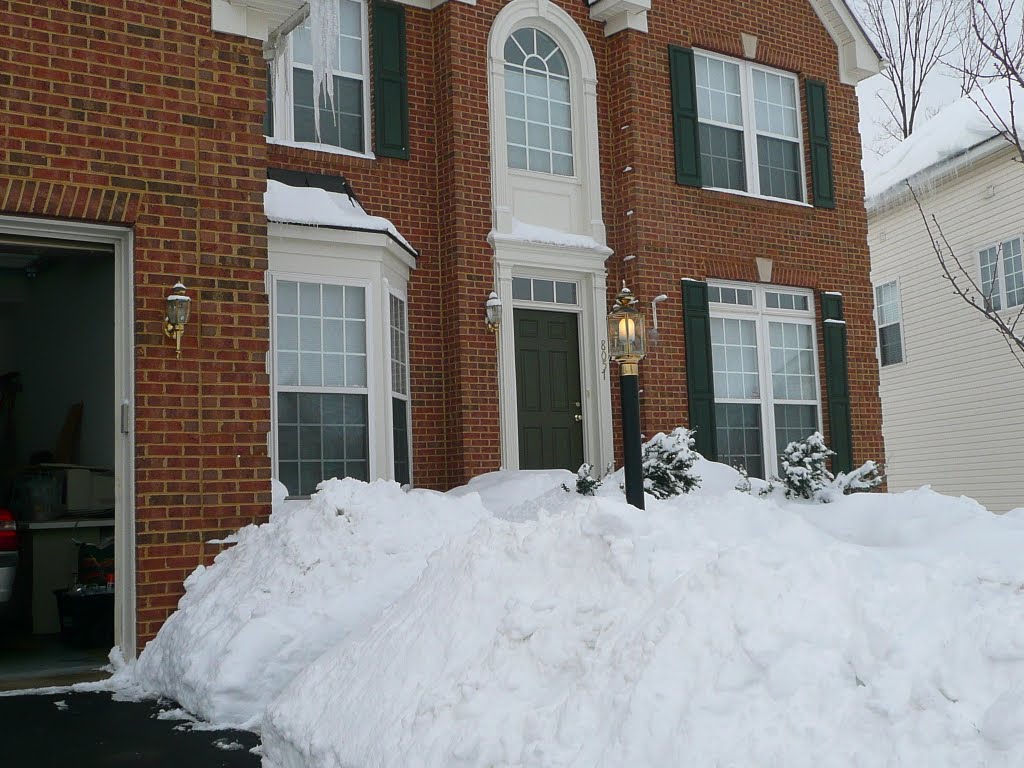 My Home