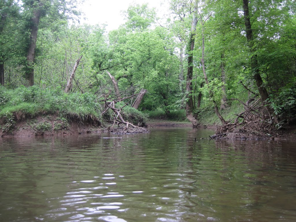 the mouth of Leland creek