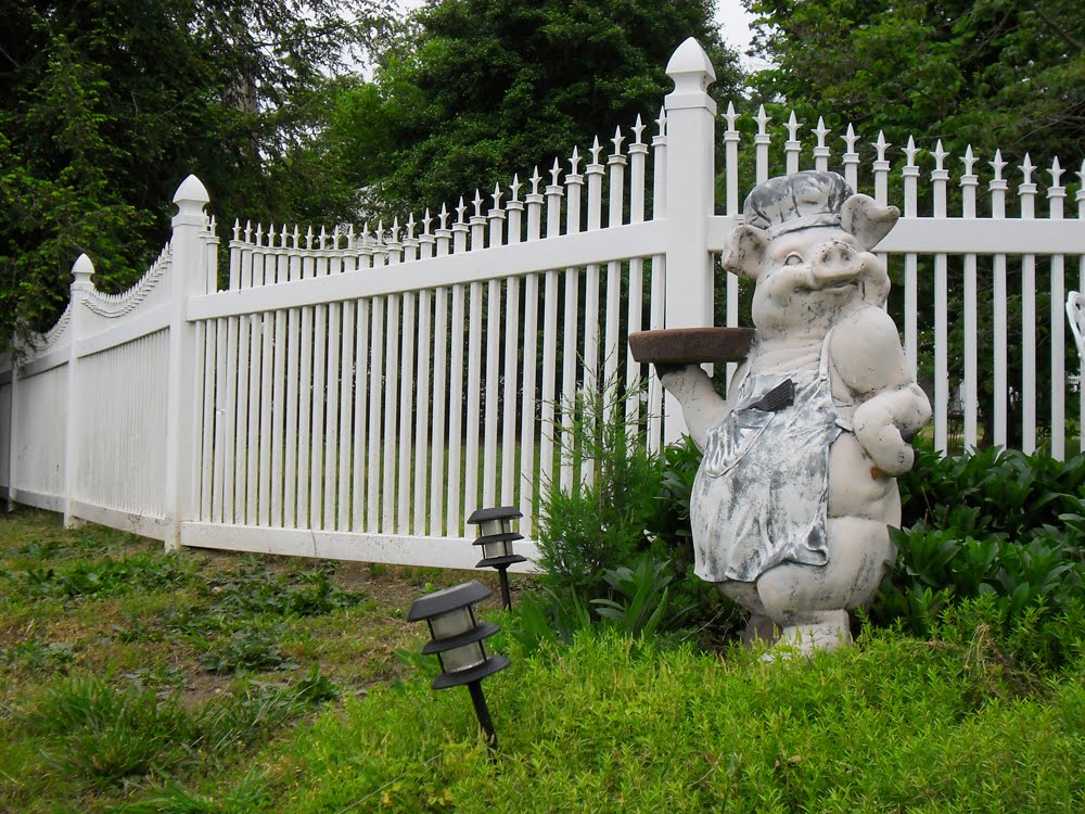 Pig, Mechanicsville, Hanover County, VA.