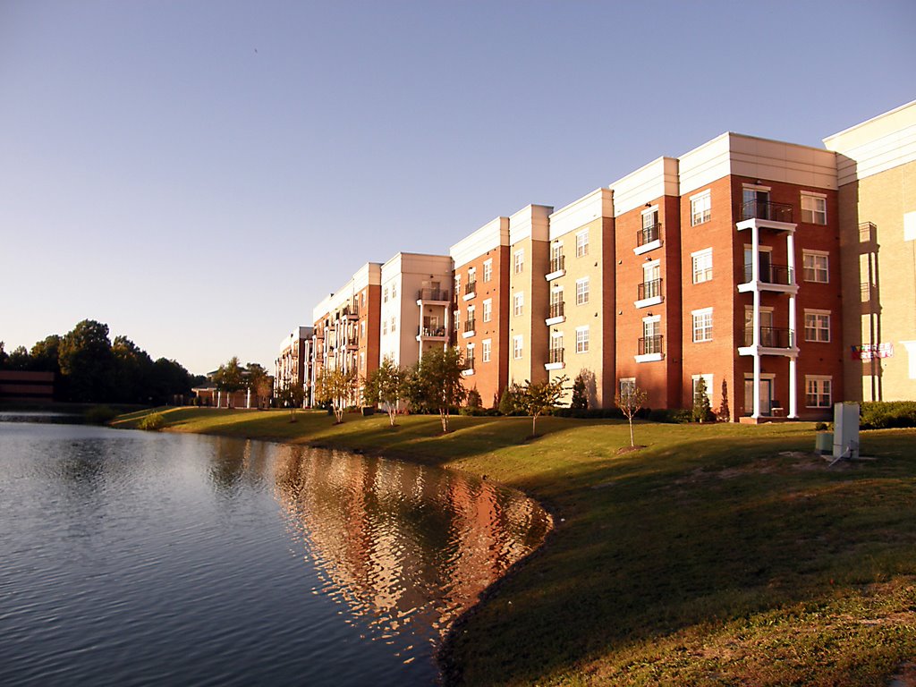 Oyster Point Living
