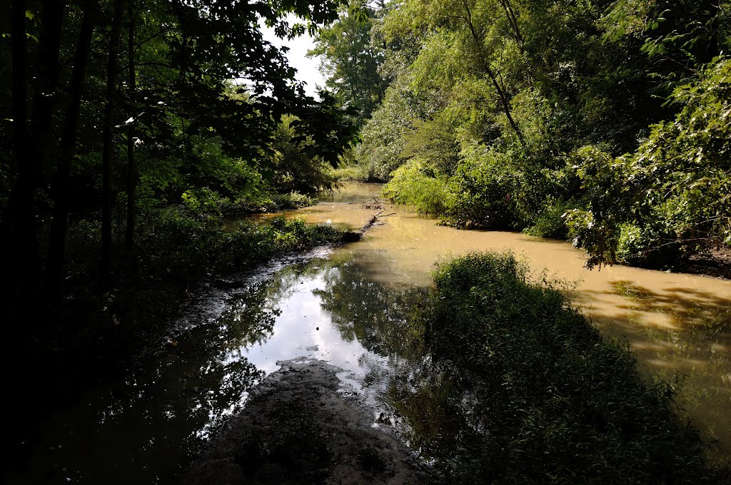 VIRGINIA: NEWPORT NEWS: Deer Park: recrossing the footbridge