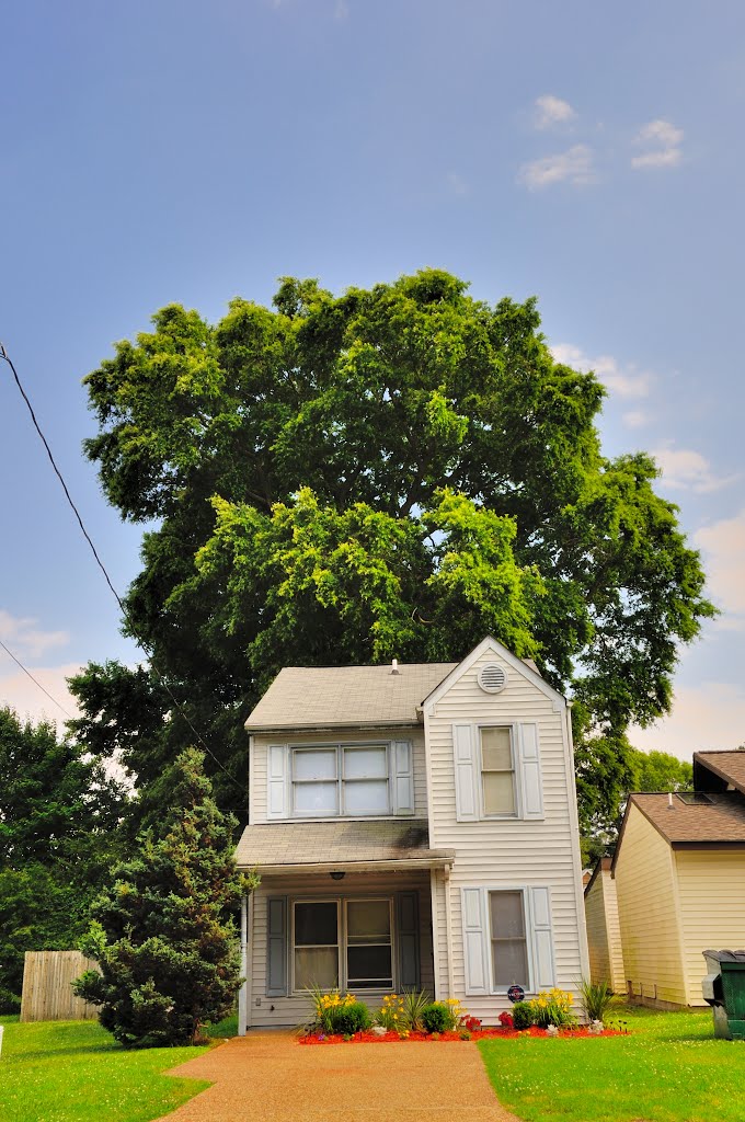 VIRGINIA: NEWPORT NEWS: private residence, 16 Culpepper Avenue