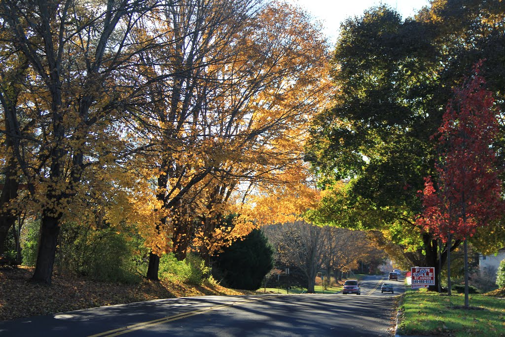 Looking SE Along Wadsworth During Fall, Radford VA