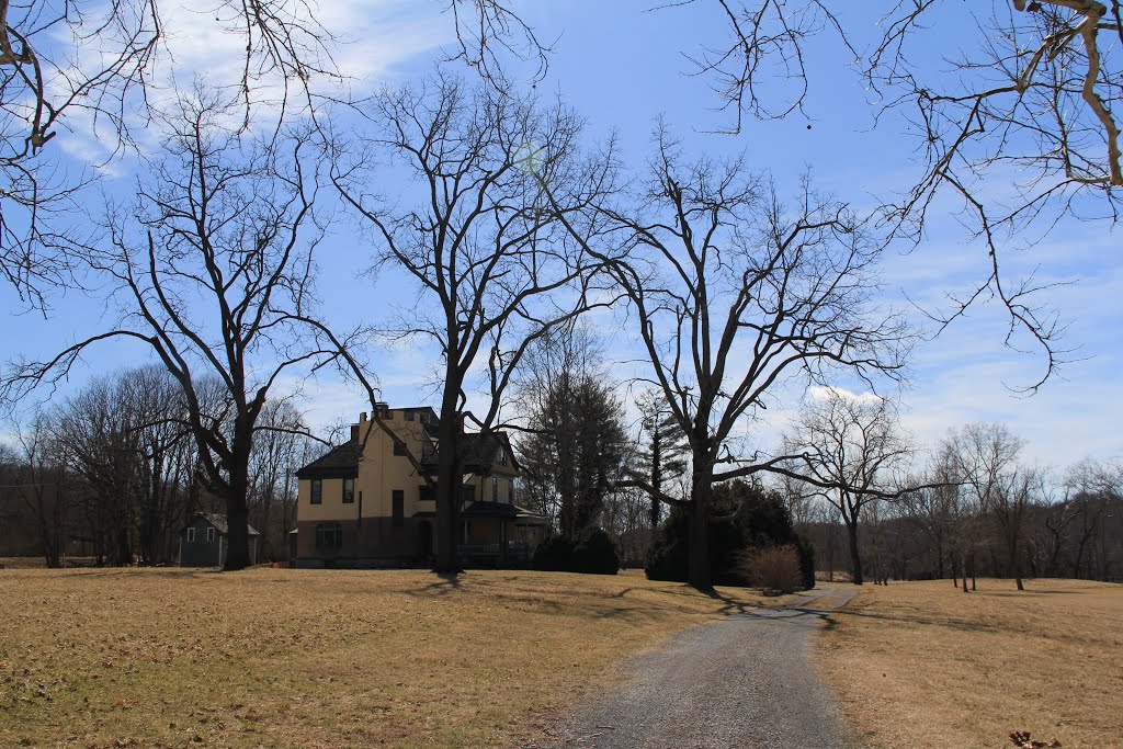 Ingles Castle, Radford Virginia
