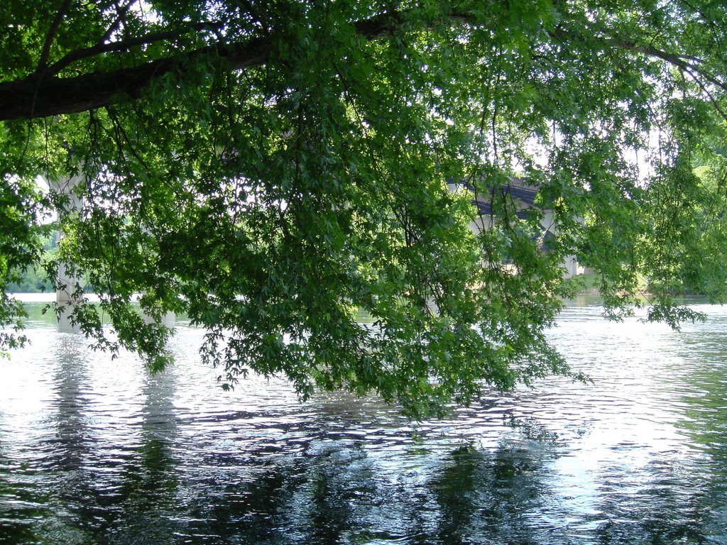New River @ Bisset Park