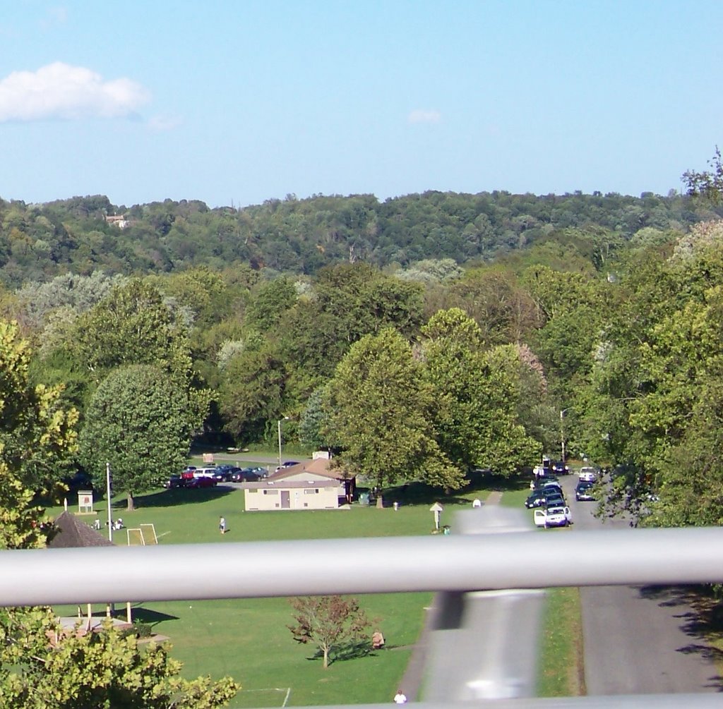 Bisset Park from the Bridge