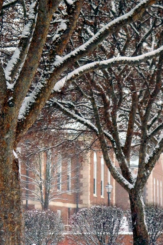 radford university
