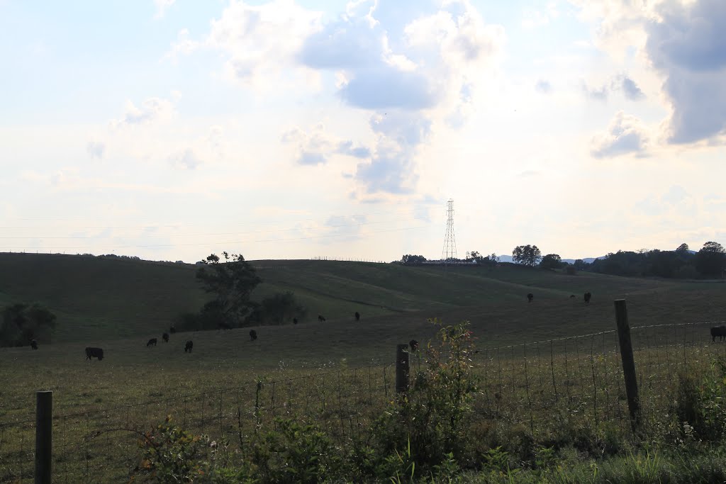 Cow Pasture at Dusk (Radford, Virginia)