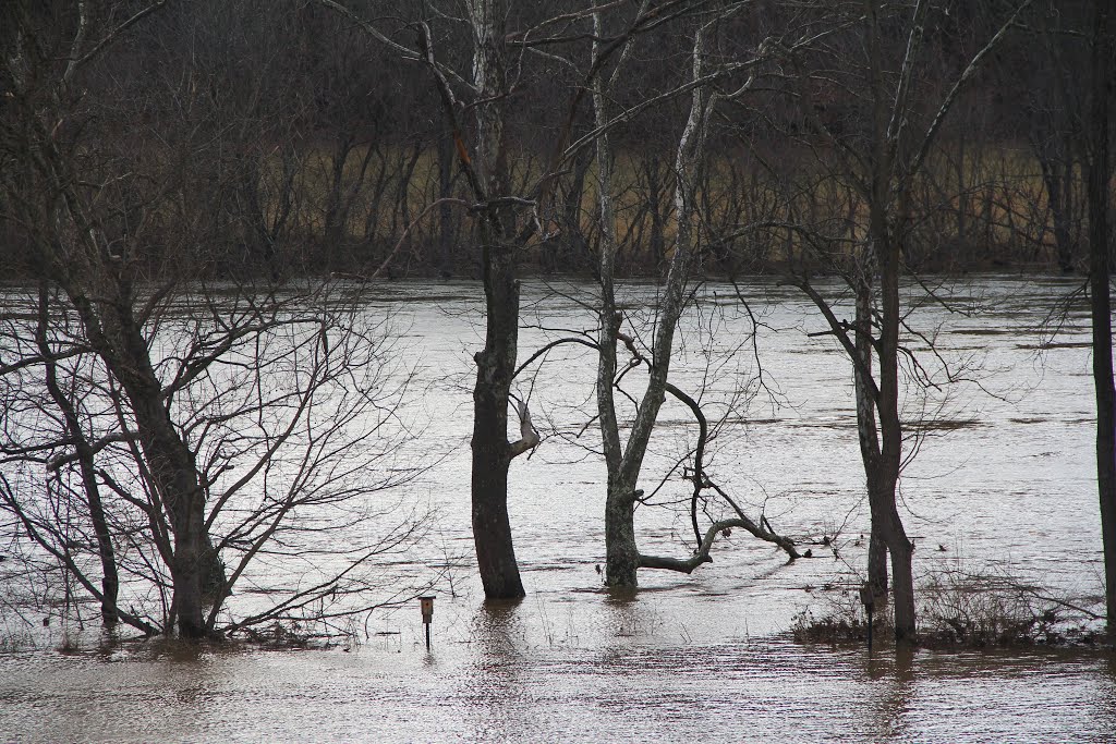 New River Flood, Riverview Park, Radford VA