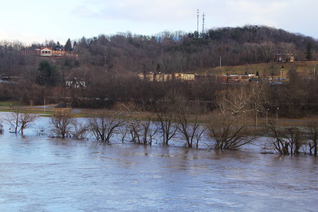 New River Flood, Bissett Park, Radford VA