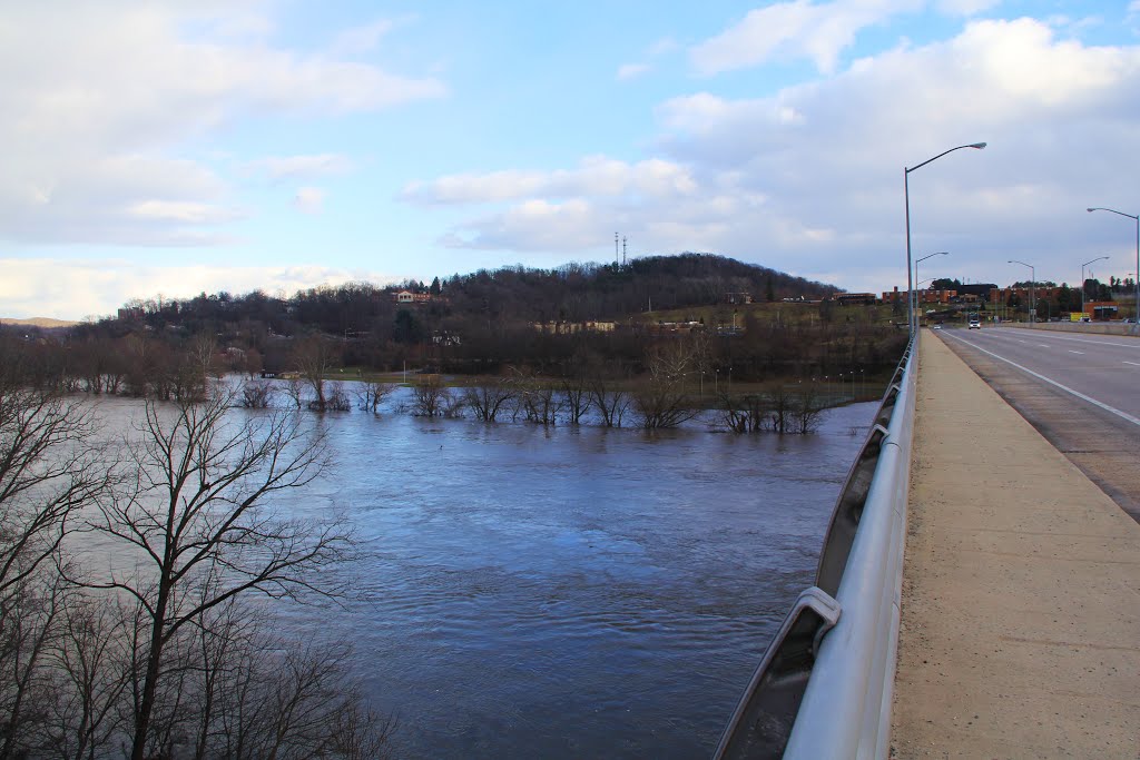 New River Flood, Bissett Park, Radford VA